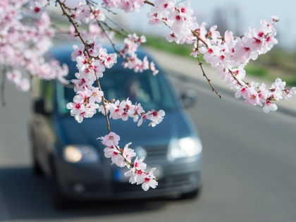 Антикоррозийная обработка и очистка вентиляции: чем еще порадовать свой автомобиль весной? 